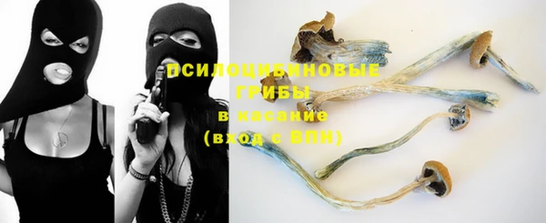 ECSTASY Алексин
