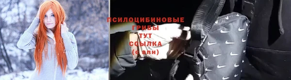 ECSTASY Алексин